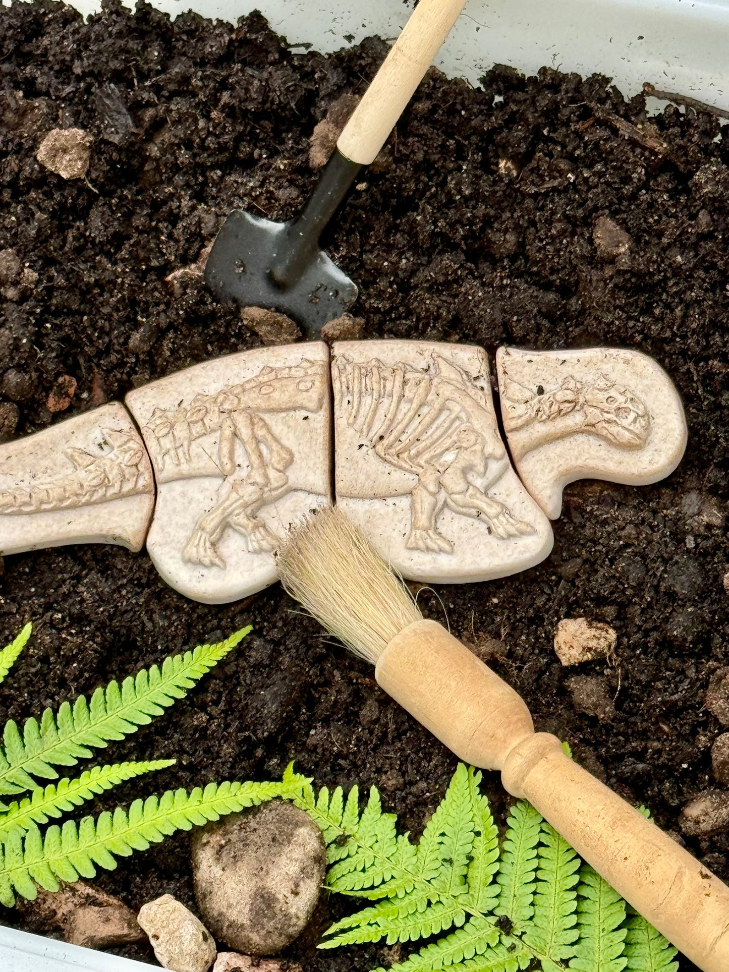 Dig and Discover – Dinosaur