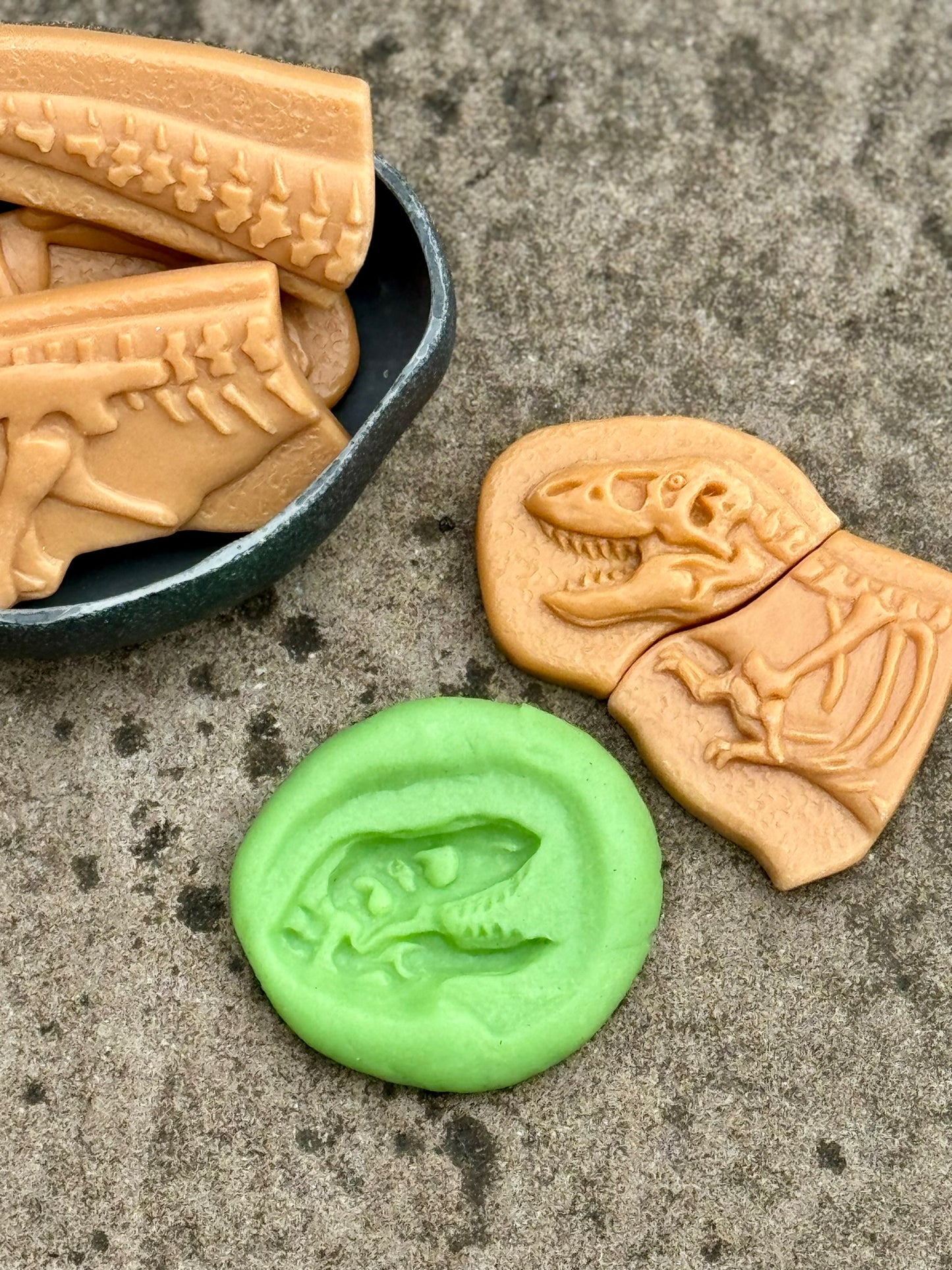 Dig and Discover – Dinosaur
