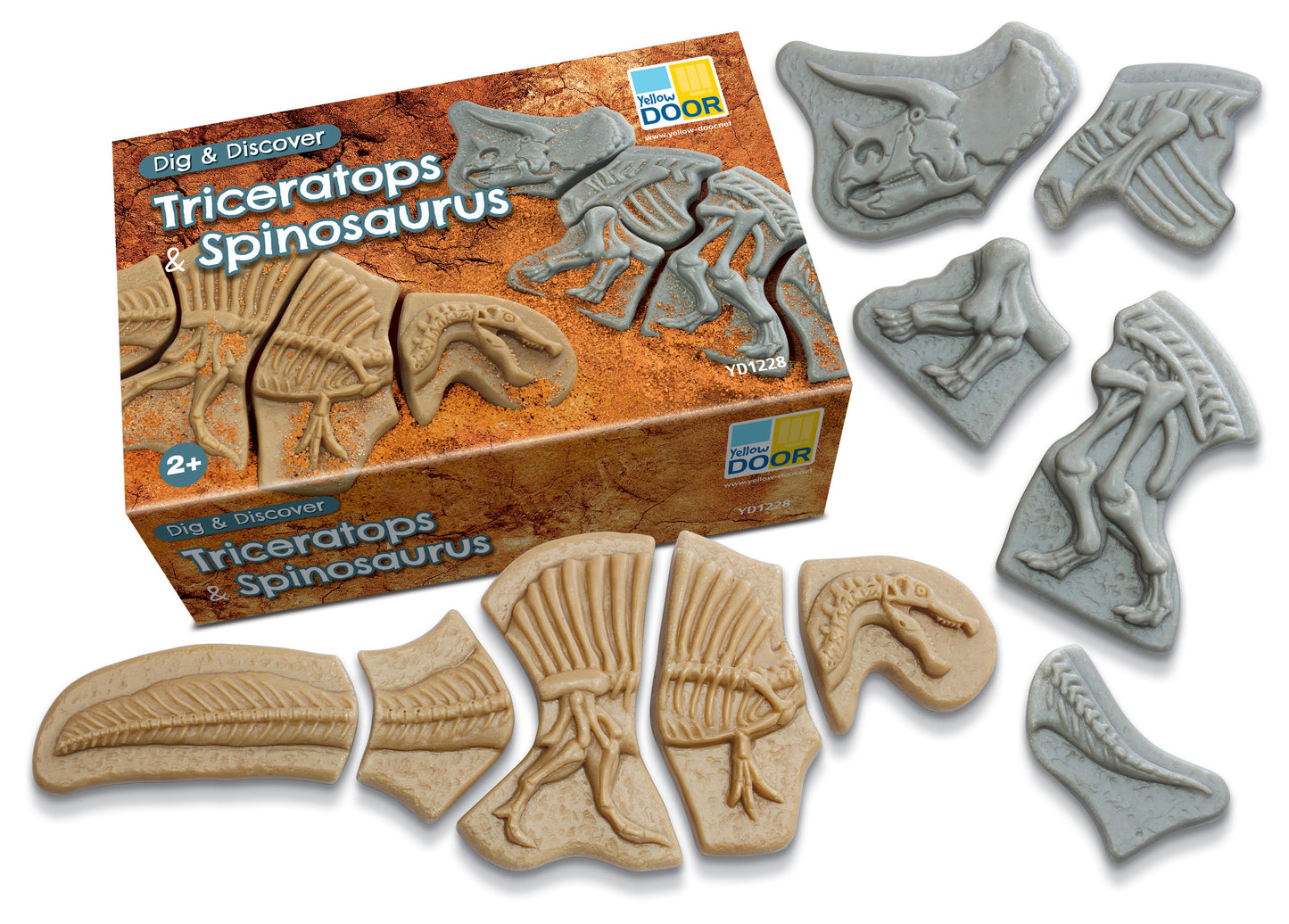 Dig and Discover – Dinosaur