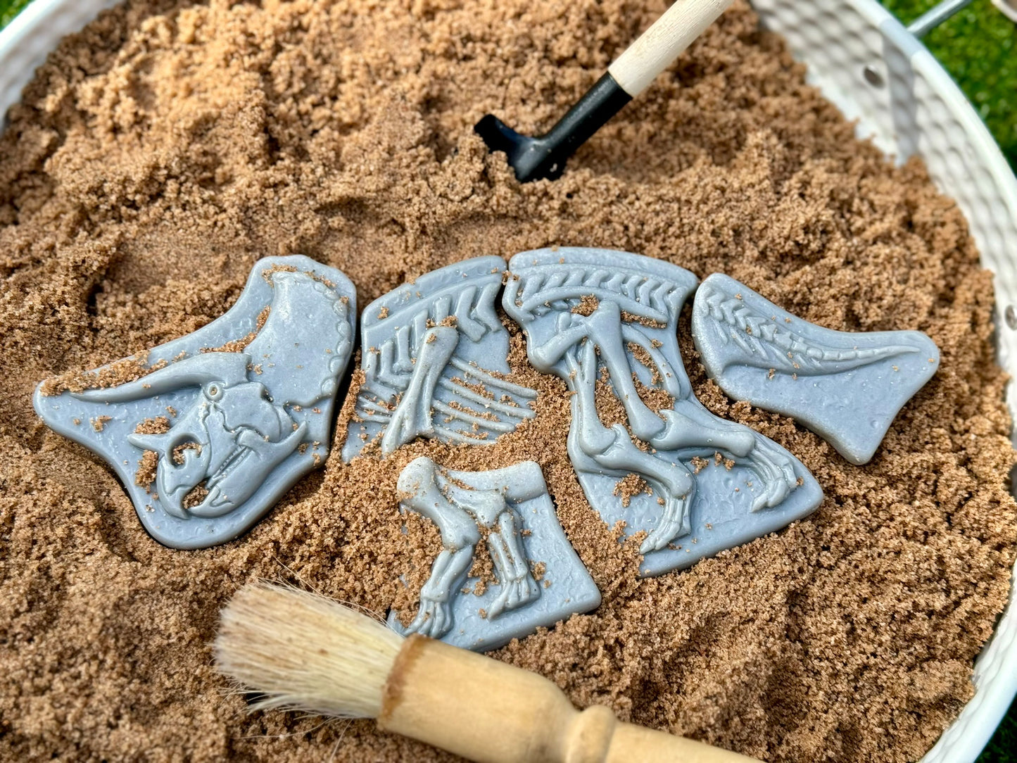 Dig and Discover – Dinosaur