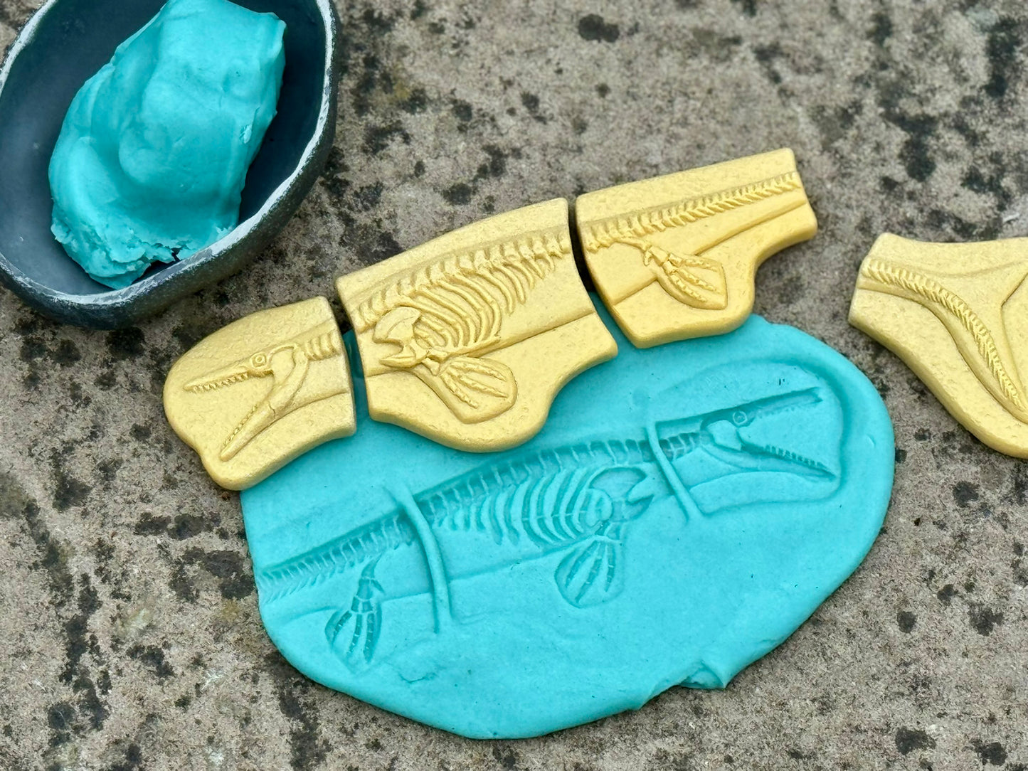 Dig and Discover – Dinosaur