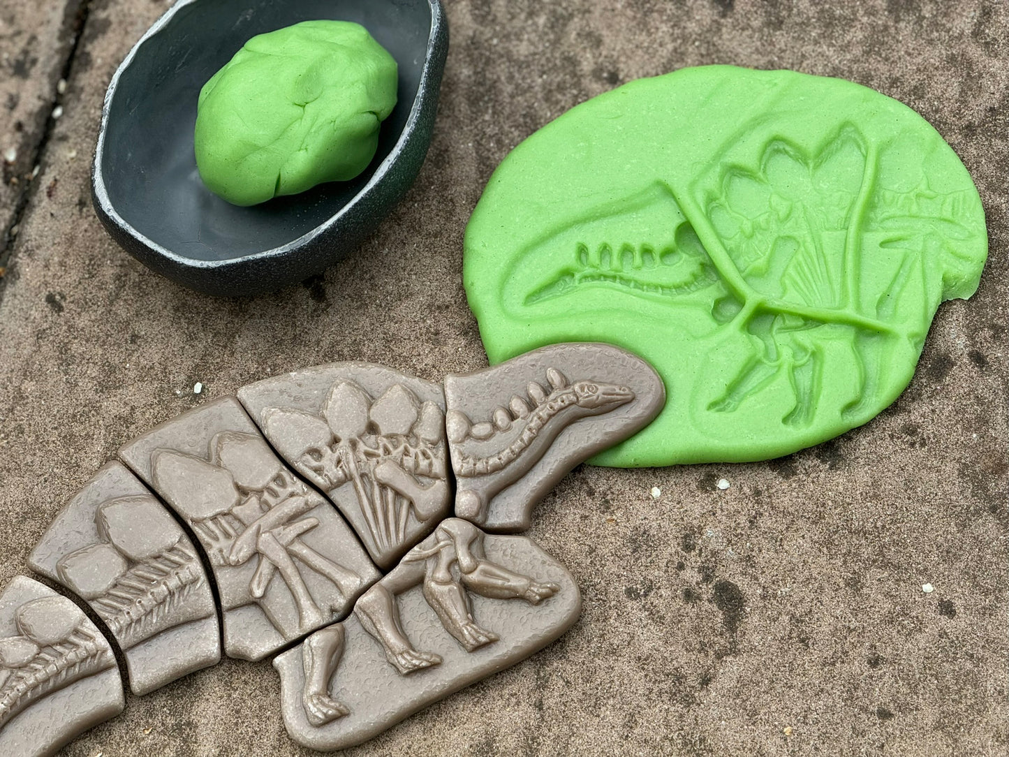 Dig and Discover – Dinosaur