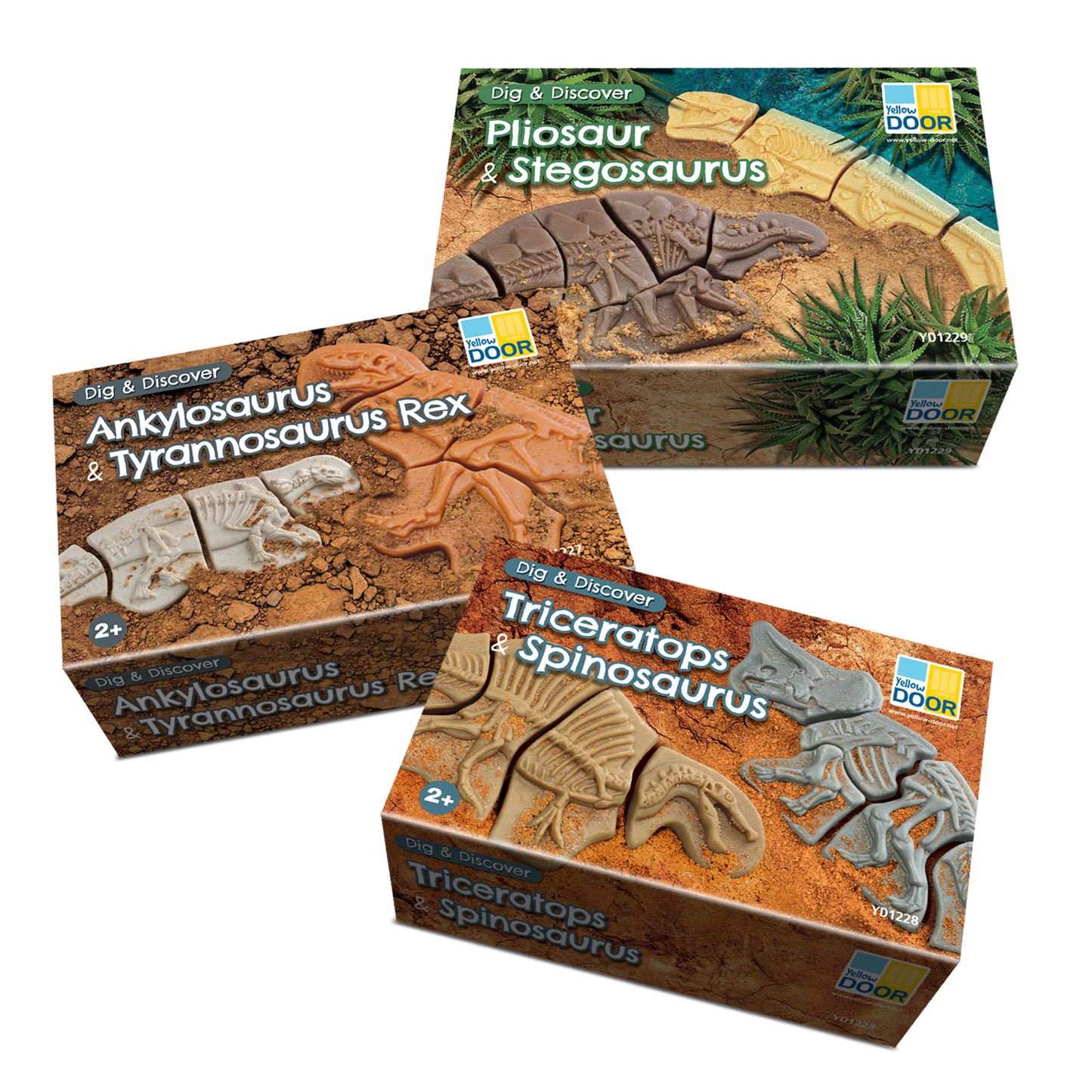 Dig and Discover – Dinosaur