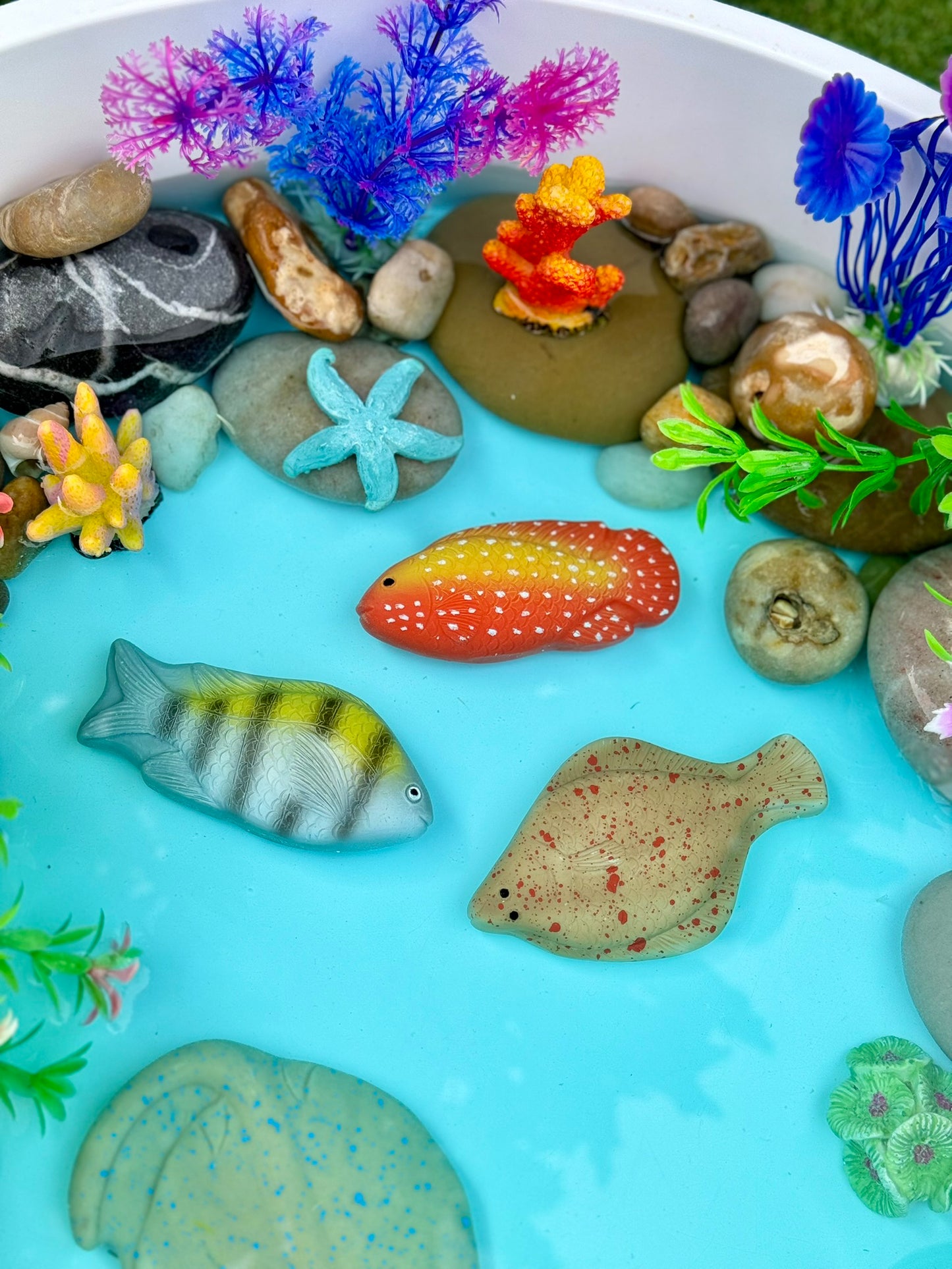 Sensory Play Stones – Fish