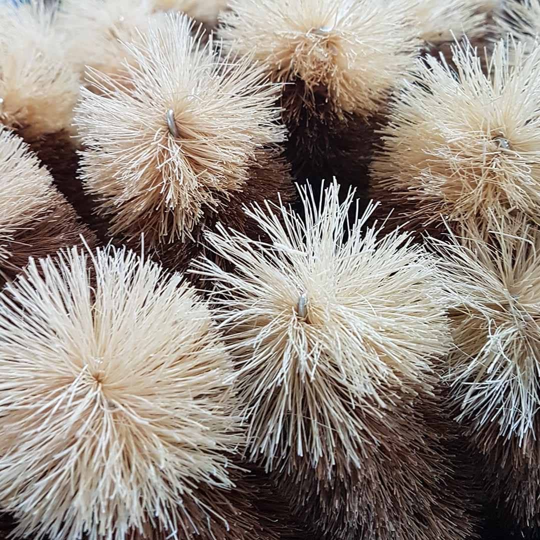 Premium Boxed Bottle Brush