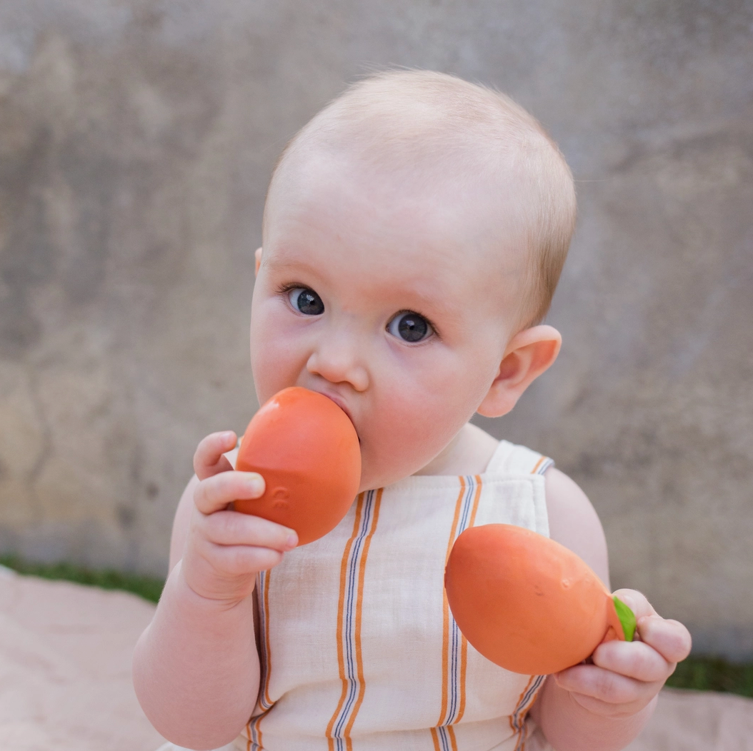 Palm Peach teether