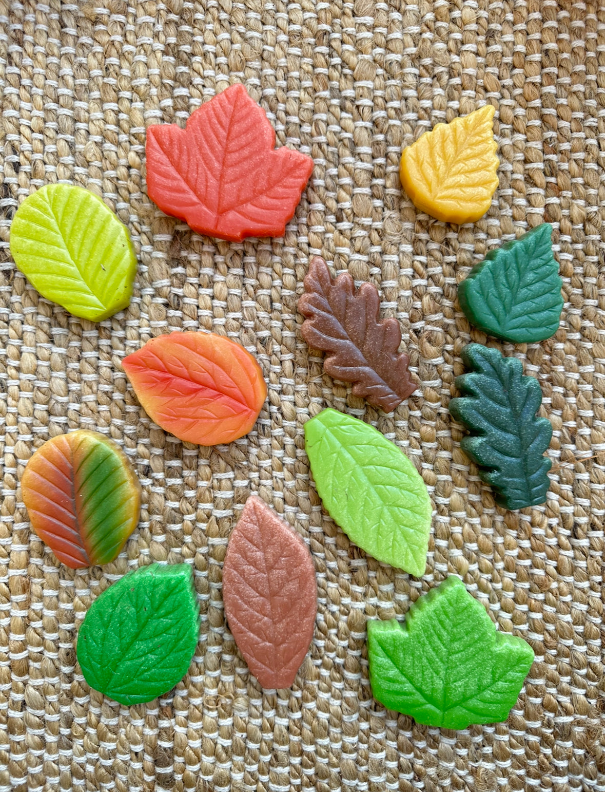 Nature leaves