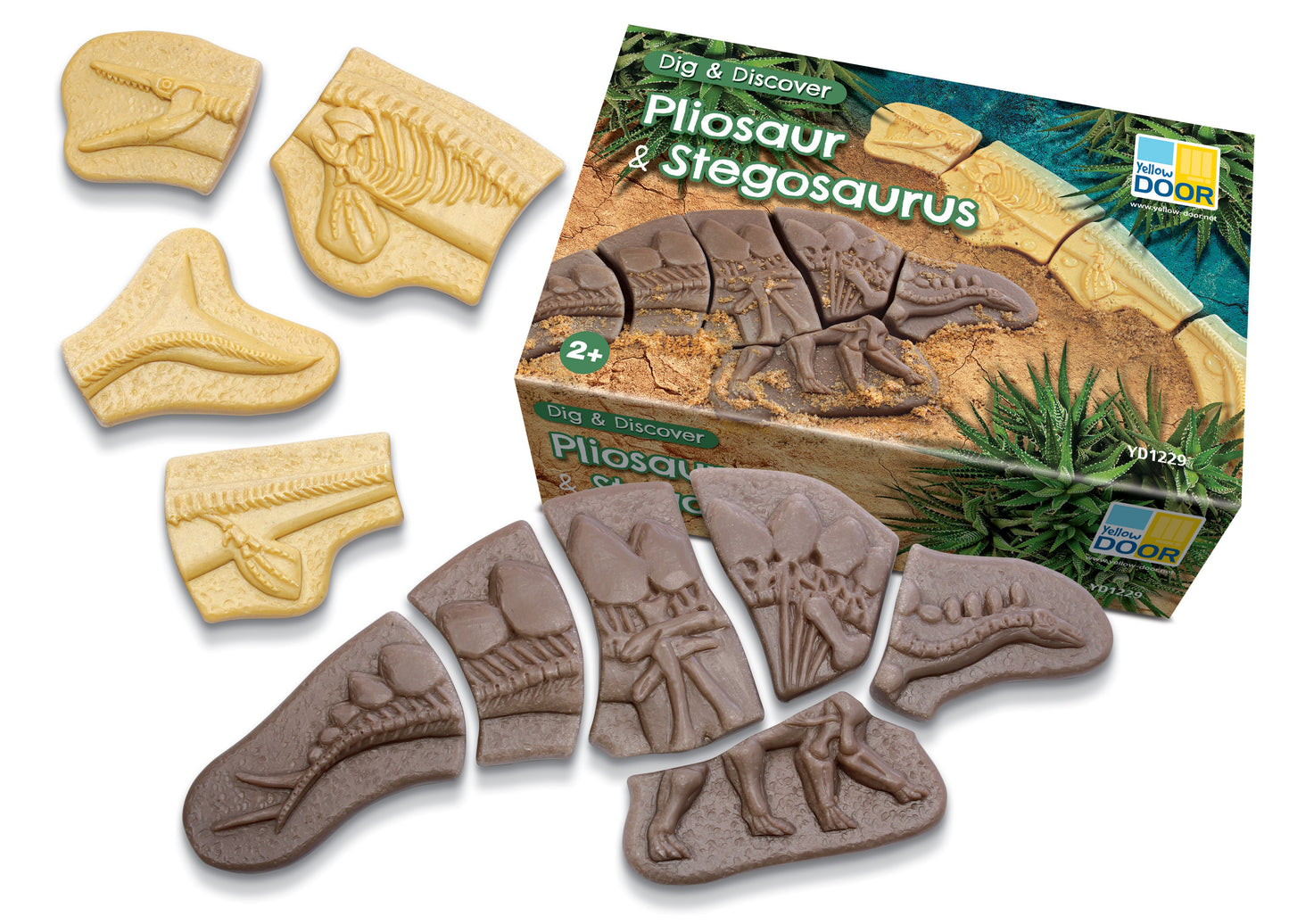 Dig and Discover – Dinosaur