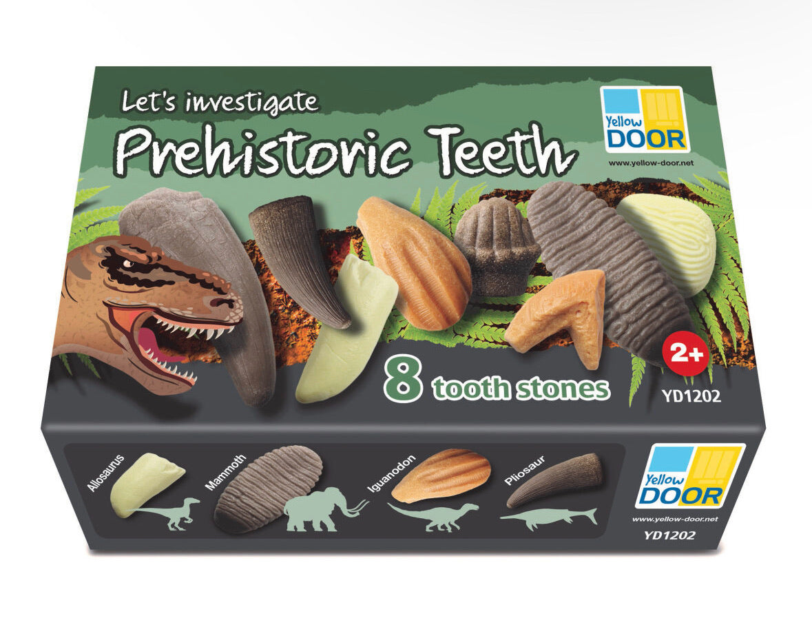 Let’s Investigate – Prehistoric Teeth