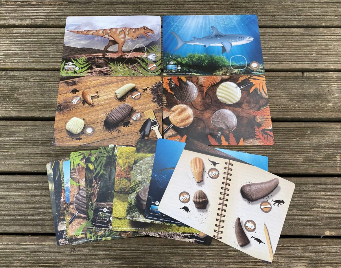 Prehistoric Teeth – Explore and Discover Activity Cards