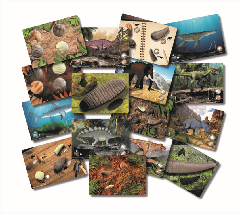 Prehistoric Teeth – Explore and Discover Activity Cards