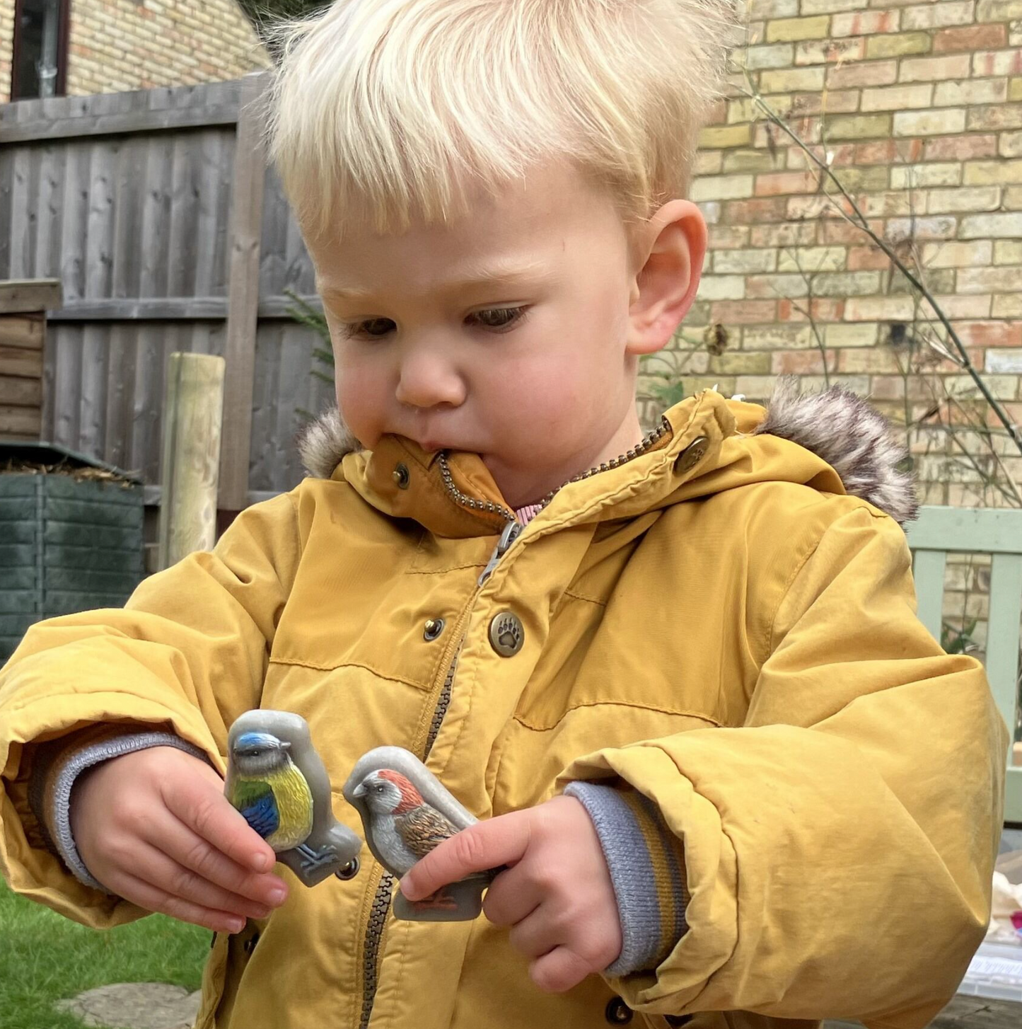 Sensory Play Stones – Birds