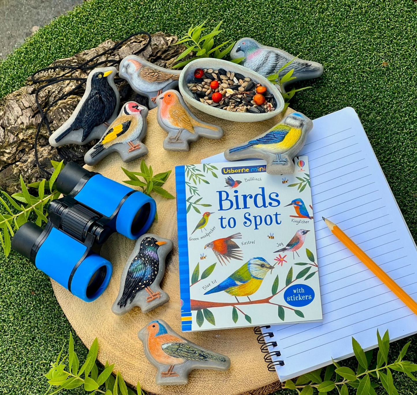 Sensory Play Stones – Birds