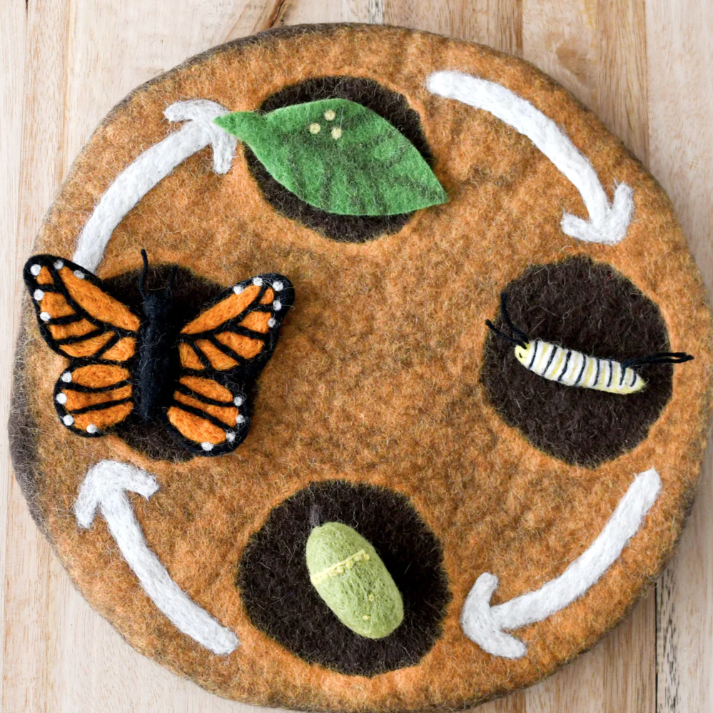 Felt Lifecycle of Monarch Butterfly