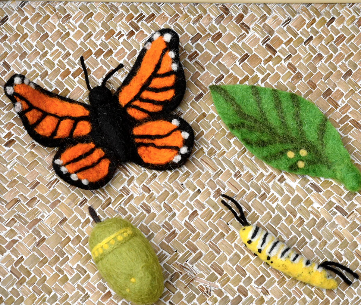 Felt Lifecycle of Monarch Butterfly